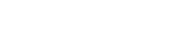 A.N Standard Ltd